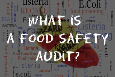 Food safety audits